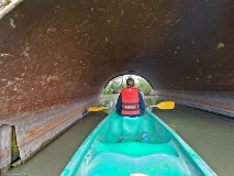 14: 120240704_120309_1920