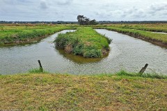 18: 120240703_160258_1920