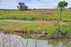 20: 120240703_160415_1920