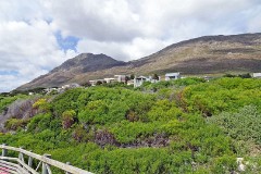 10: 1_DSC00392_lores