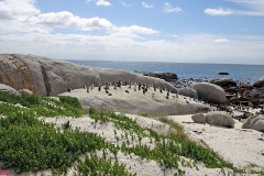 12: 1_DSC00397_lores