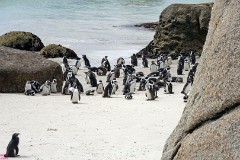 13: 1_DSC00398_lores