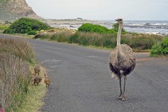 10: 1_DSC00436_lores