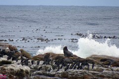 16: 1_DSC00450_lores