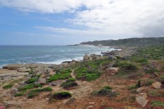 30: 1_DSC00460_lores