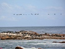 19: 1_DSC_5515_lores