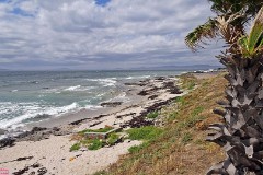 10: 1_DSC00327_lores