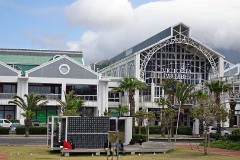 11: 1_DSC00334_lores