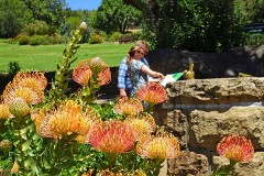 40: 1_DSC00560_lores