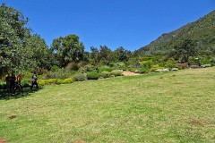 44: 1_DSC00564_lores