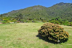 45: 1_DSC00565_lores