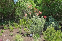 48: 1_DSC00575_lores