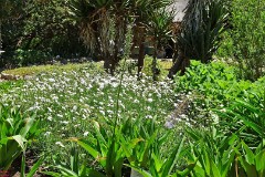 51: 1_DSC00583_lores