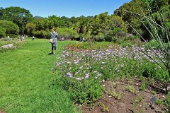 55: 1_DSC00593_lores