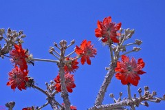 27: 1_DSC_5601_lores