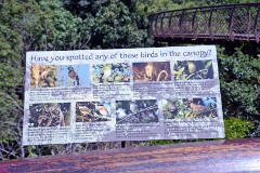 30: 1_DSC_5610_lores