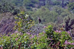 33: 1_DSC_5634_lores