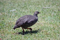 35: 1_DSC_5639_lores