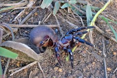 18: 1_DSC01731_lores