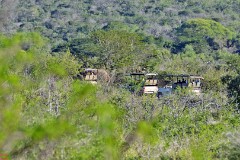 43: 1_DSC_6731_lores