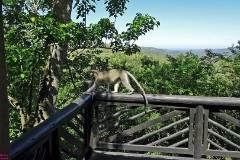 42: 1_DSC01817_lores