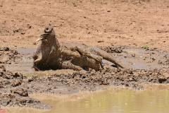 23: 1_DSC_6916_lores