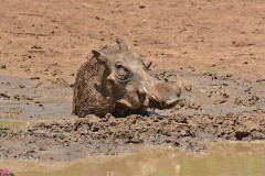 24: 1_DSC_6919_lores