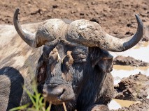 40: 1_DSC_7339_lores