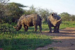 38: 1_DSC01960_lores