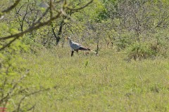 10: 1_DSC_7152_lores