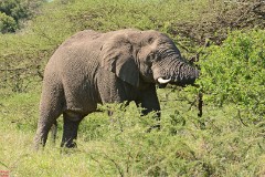 12: 1_DSC_7155_lores