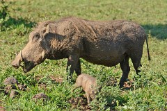 20: 1_DSC_7257_lores