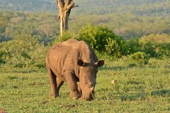 23: 1_DSC_7269_lores