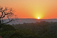 27: 1_DSC_7286_lores