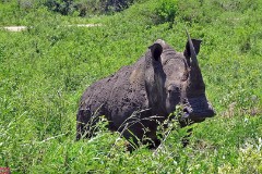 23: 1_DSC02093_lores