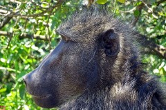 27: 1_DSC02103_lores