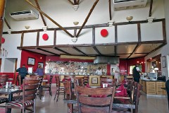 48: 1_DSC02153_lores