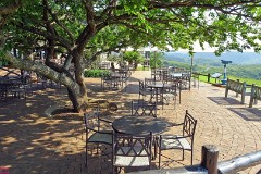 51: 1_DSC02155_lores