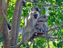 53: 1_DSC02167_lores