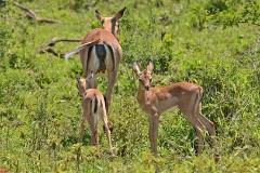 18: 1_DSC_7344_lores