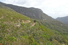 13: 1_DSC01029_lores