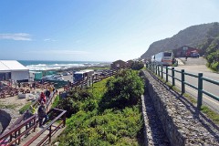 24: 1_DSC01131_lores