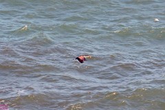 26: 1_DSC_5877_lores