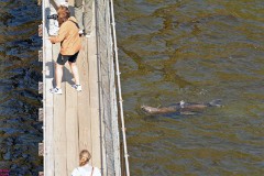 22: 1_DSC_5887_lores