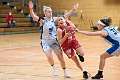 25: Panthers_in_Heidelberg-25
