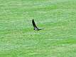 2: 1DSC_9672_1920