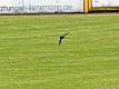 3: 1DSC_9677_1920