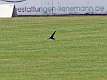 4: 1DSC_9678_1920