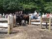 8: DSC09174_k