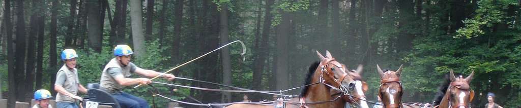 Riesenbeck 2008
